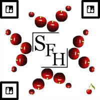 sfh_h200