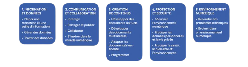 crcn_5_domaines_de_competences-removebg-preview